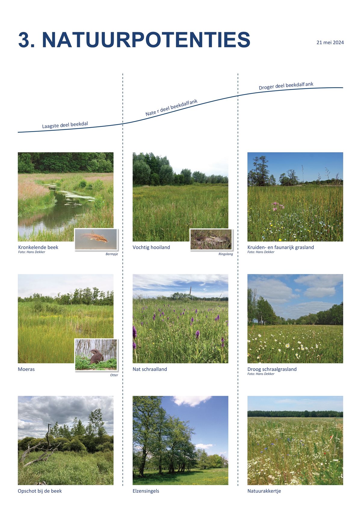 Peizerdiep poster 3. natuurpotenties